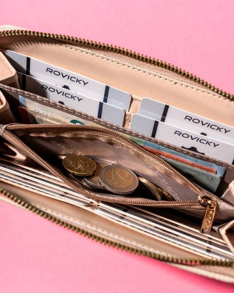 Portfel, beżowy, Rovicky