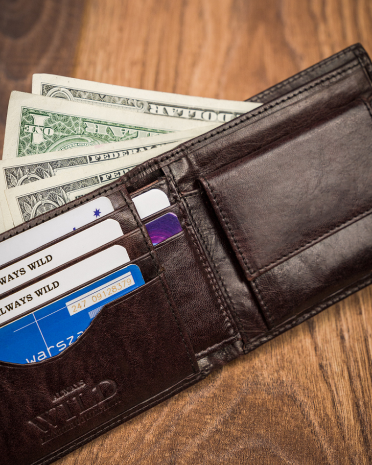 Portfel, brązowy, skórzany, Always Wild