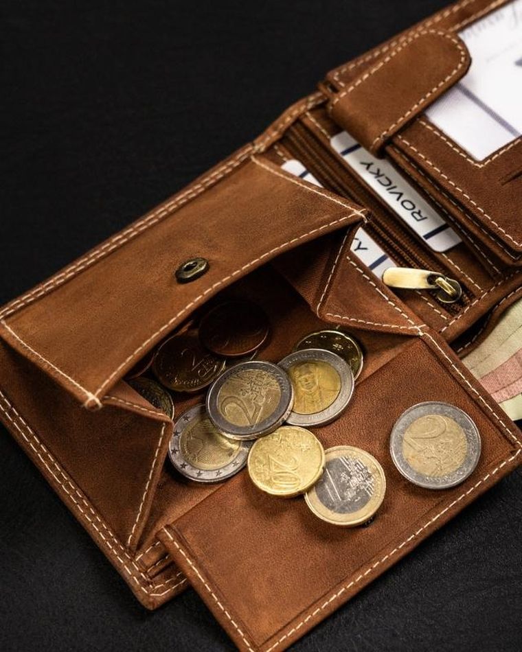 Portfel, brązowy, skórzany, Always Wild