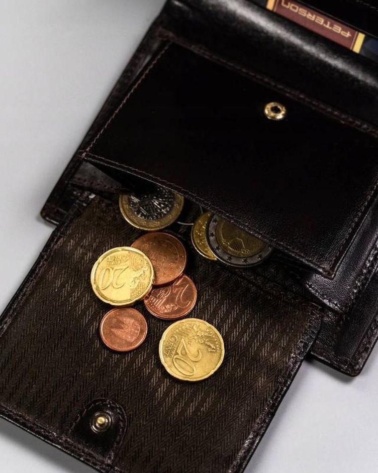 Portfel, brązowy, skórzany, Peterson