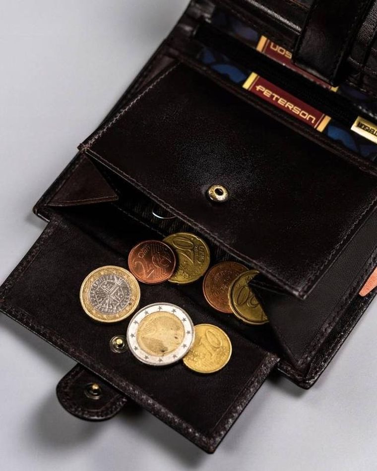 Portfel, ciemnobrązowy, skórzany, Peterson