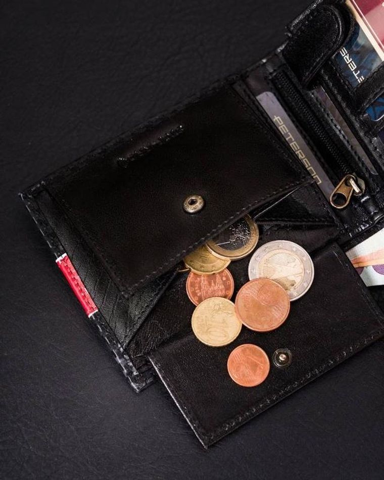 Portfel, czarno-czerwony, skórzany, Peterson