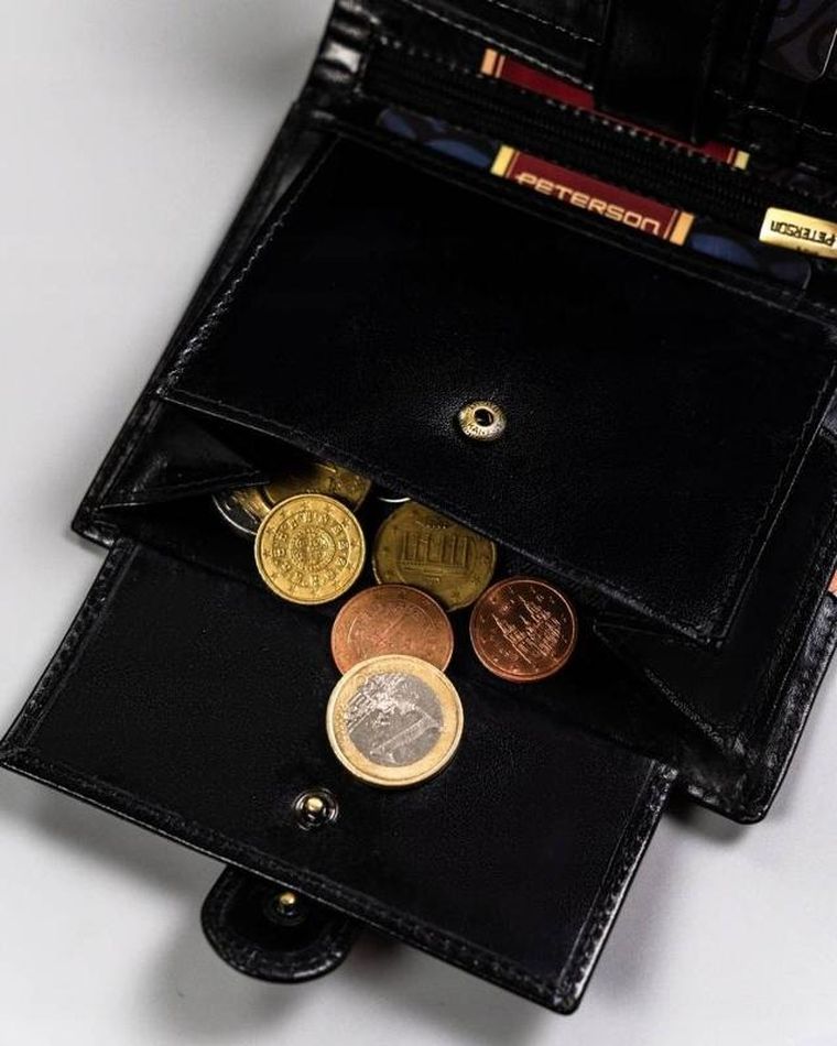 Portfel, czarny, skórzany, Peterson