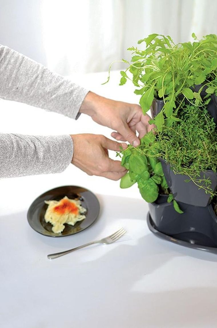 Prosperplast, doniczka kaskadowa do ziół, grafit