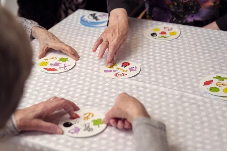 Rebel, Dobble, Access+, gra familijna