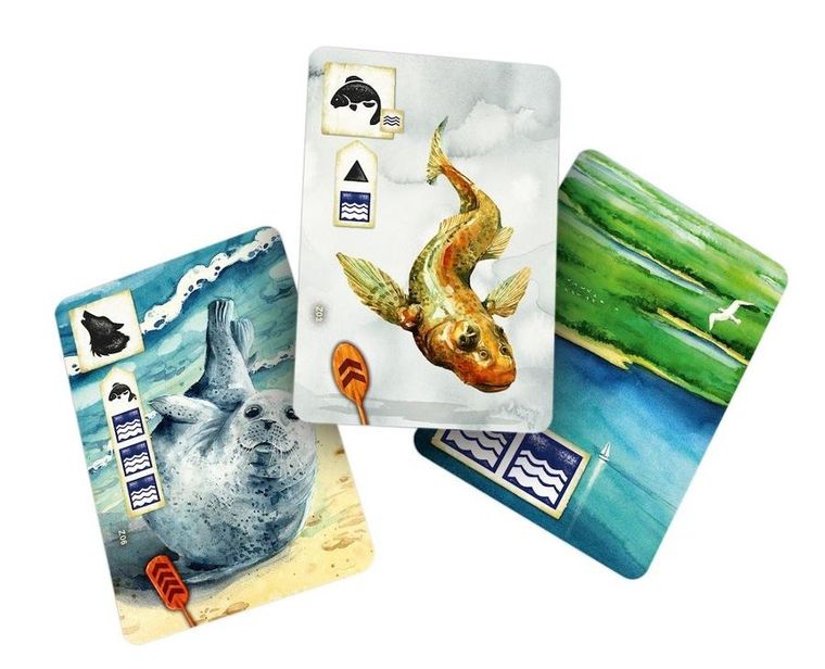 Rebel, Łąka: Z biegiem strumienia, gra familijna