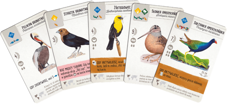 Rebel, Na skrzydłach, gra familijna