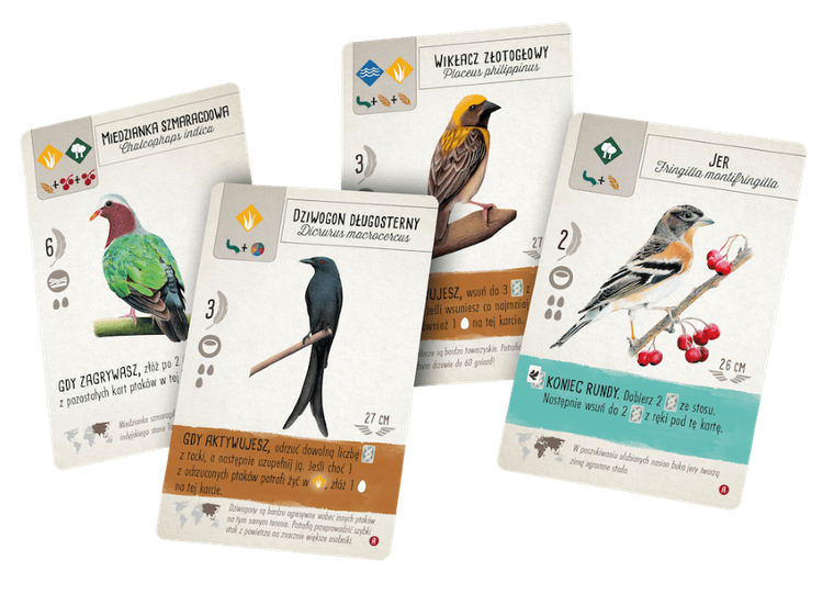 Rebel, Na skrzydłach: Ptaki Azji, gra ekonomiczna