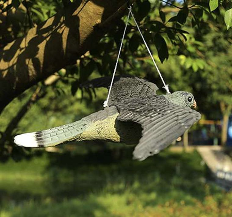 Repest, odstraszacz przeciwko ptakom