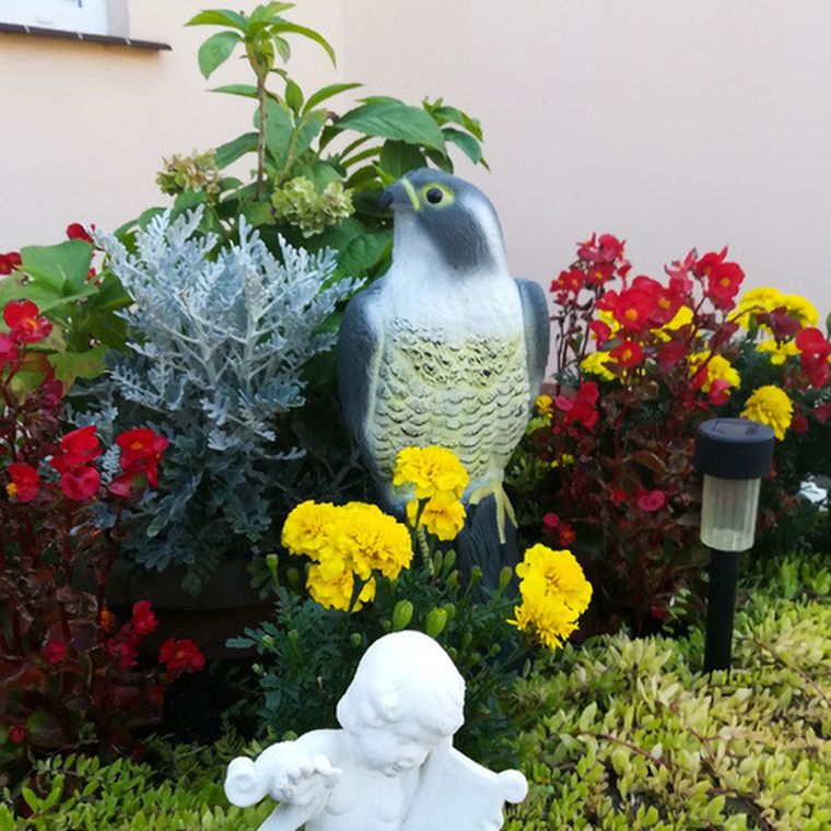 Repest, odstraszacz ptaków, sokół