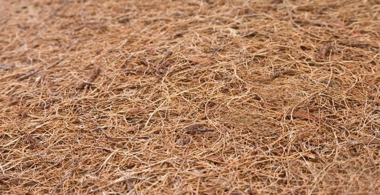 Sensillo, Supreme Seasons, materac dziecięcy, 120-60-13 cm