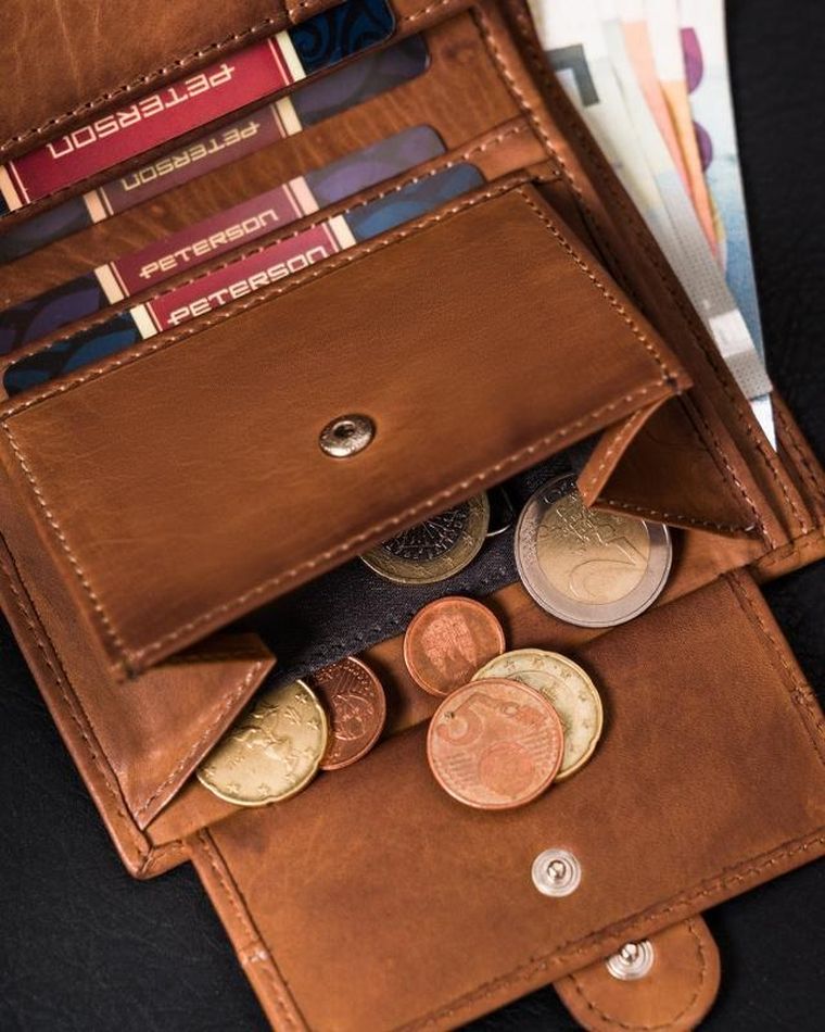 Skórzany, zapinany portfel męski na karty, Peterson