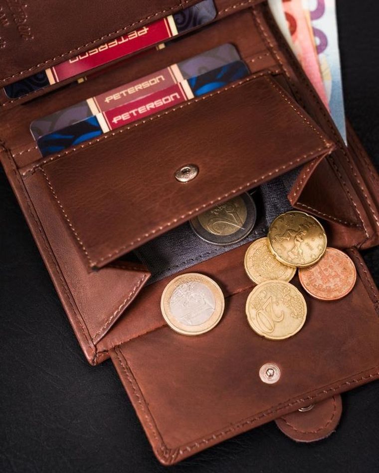 Skórzany, zapinany portfel męski na karty, Peterson