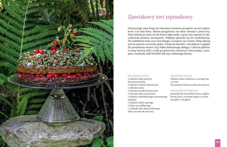 Słodka Wegan Nerd. Moje roślinne desery