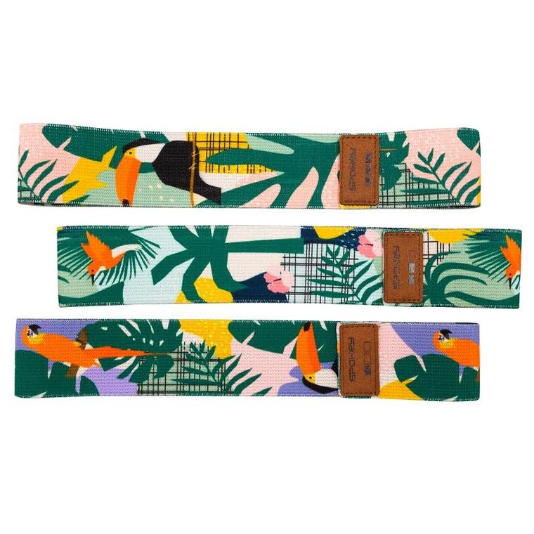 Spokey, Home Jungle, zestaw gum treningowych