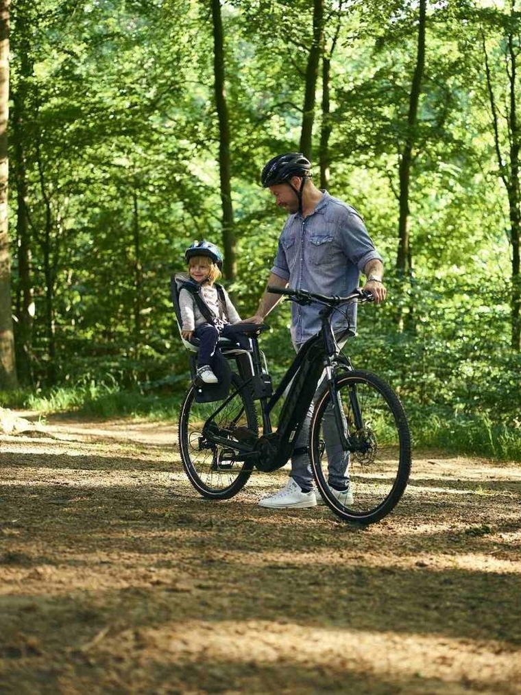 Thule, Yepp Nexxt Maxi, fotelik rowerowy montowany do ramy, Mint Green