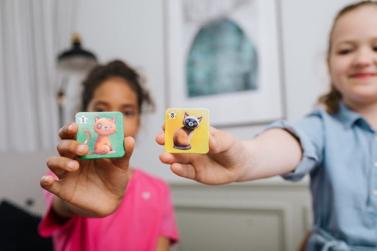 Trefl, Kotki, gra familijna