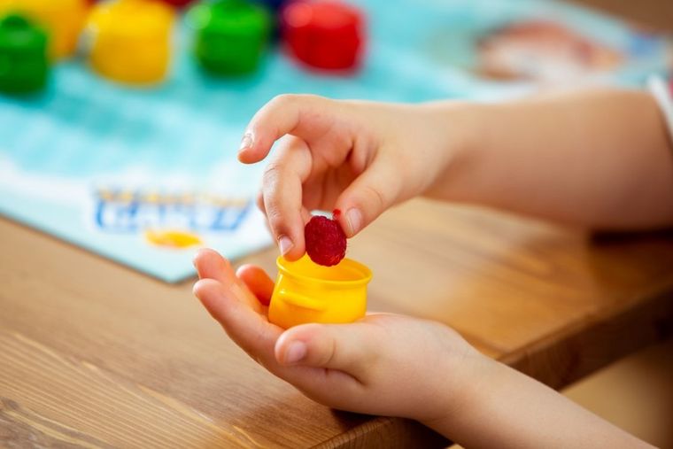 Trefl, Szalone Gary, gra familijna