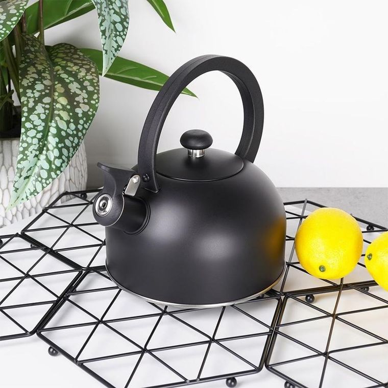 Vilde, czajnik z gwizdkiem, stalowy czarny, 2 l