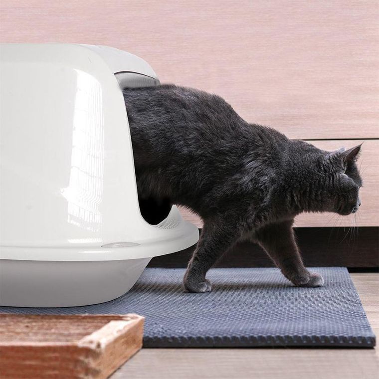 Vilde, kuweta dla zwierząt z filtrem, szara, 45-35-33 cm