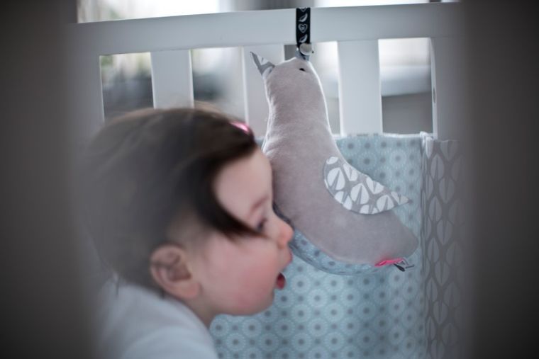 Whisbear - Szumiący Miś, szumiący ptaszek, Drzewka różowe