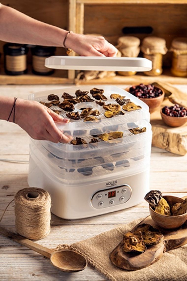 Adler, suszarka do owoców i warzyw, AD6658