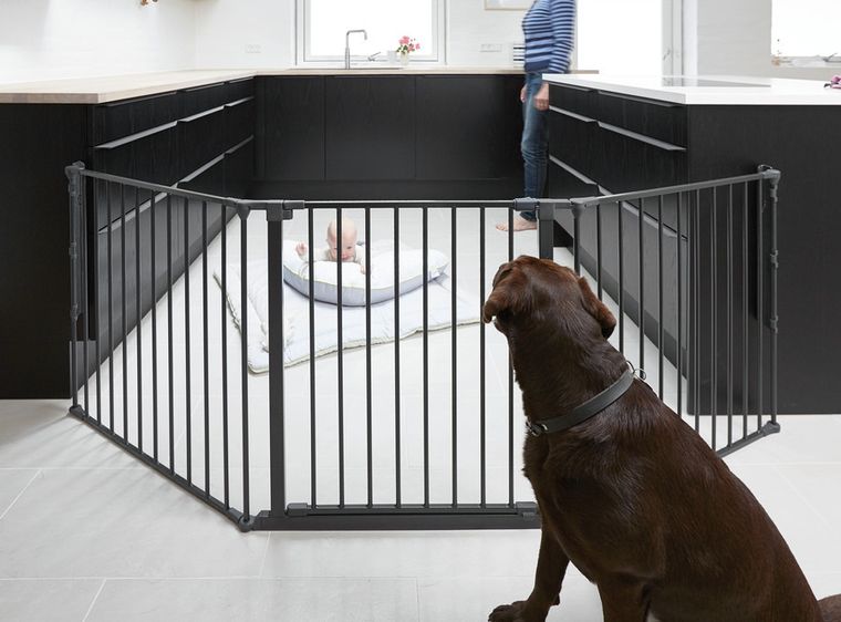 Baby Dan, Flex L, bramka ochronna, czarny