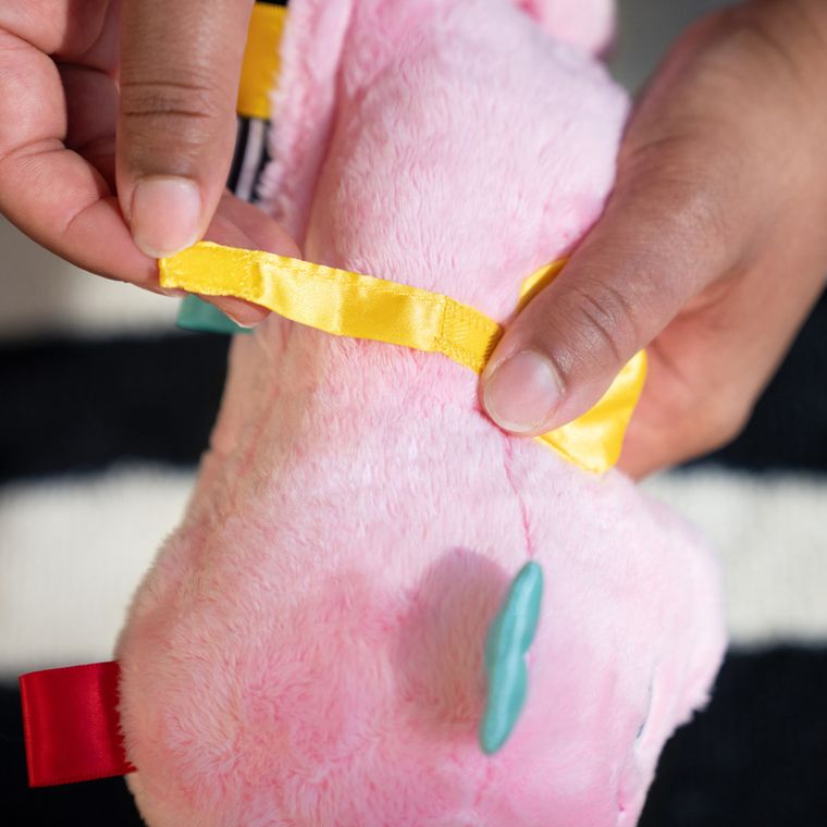 Baby Einstein, Sea Dreams, Seahorse, zabawka sensoryczna, konik morski, różowy