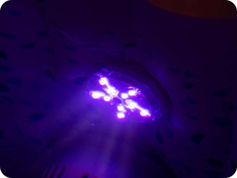 Bestway, lampka LED do jacuzzi, 7 kolorów