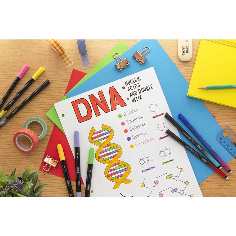 Bic, Intensity Fine, cienkopisy, mix pastel, 6 szt.