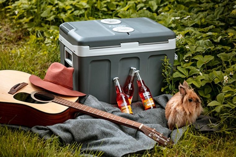 Camry, lodówka turystyczna CR 8061, 45 l