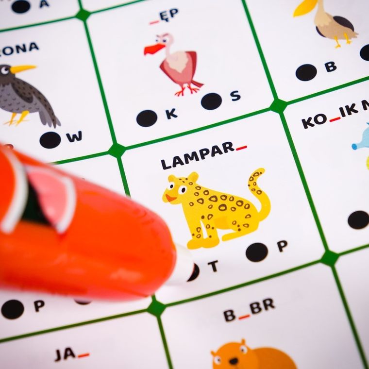 Carotina, 500 pytań, Zwierzęta, gra interaktywna