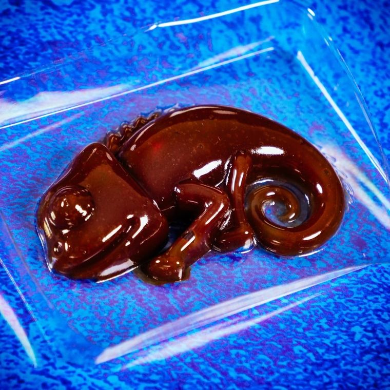 Crazy Science, Slime kameleon, zestaw kreatywny