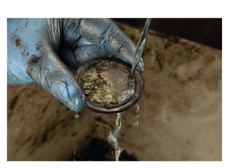 DeWalt, smarownica, towotnica akumulatorowa, 18V, DCGG571M1