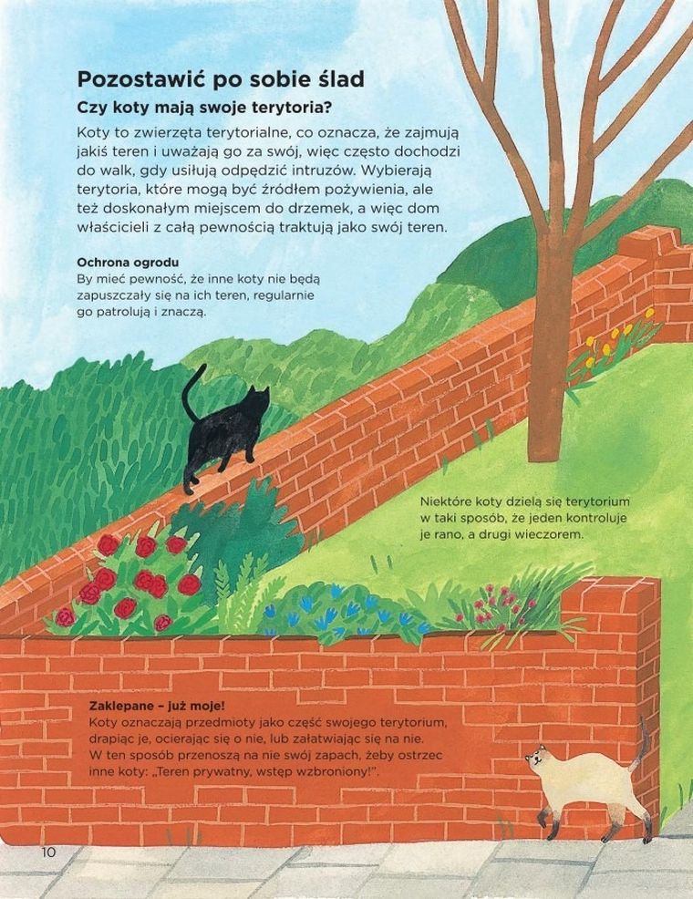 Dlaczego koty miauczą?