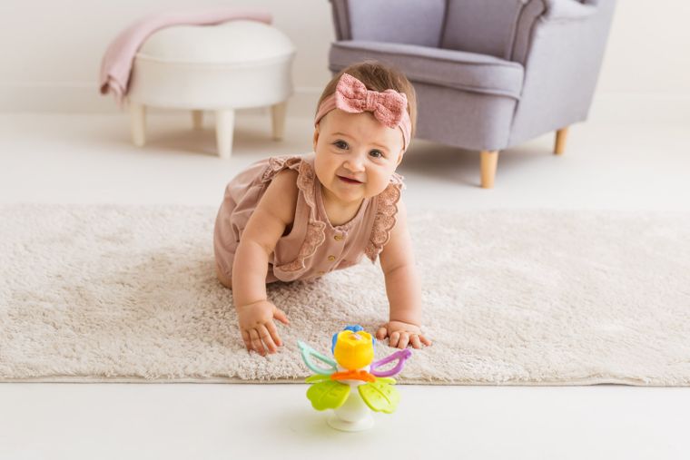 Dumel Discovery, Terkoczący Ogród z przyssawką, Kolorowy, zabawka niemowlęca