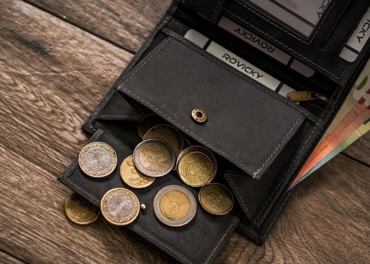 Duży, pionowy portfel męski ze skóry naturalnej, Always Wild