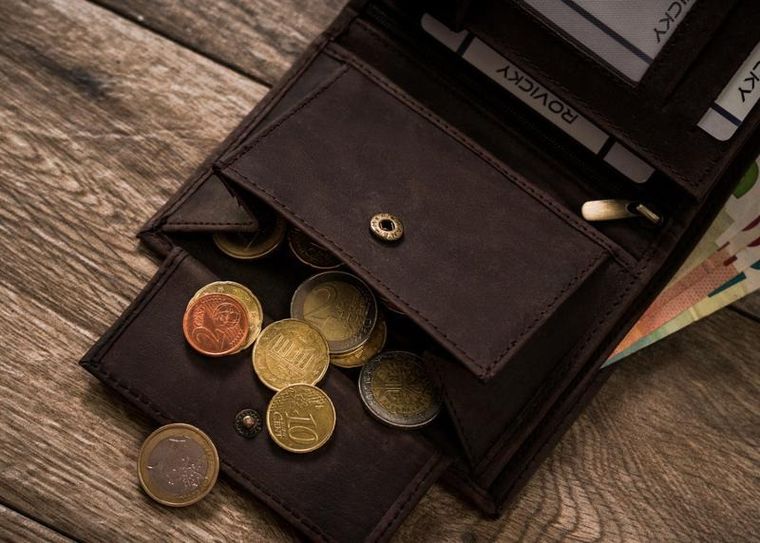 Duży, pionowy portfel męski ze skóry naturalnej, Always Wild