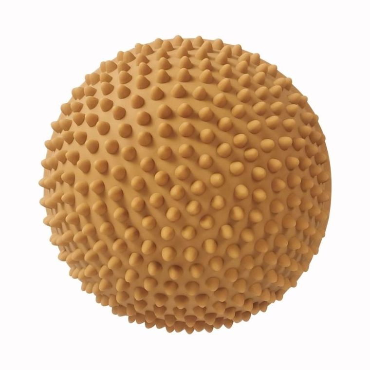 Find that Hippo, Wschód słońca, ścieżka sensoryczna