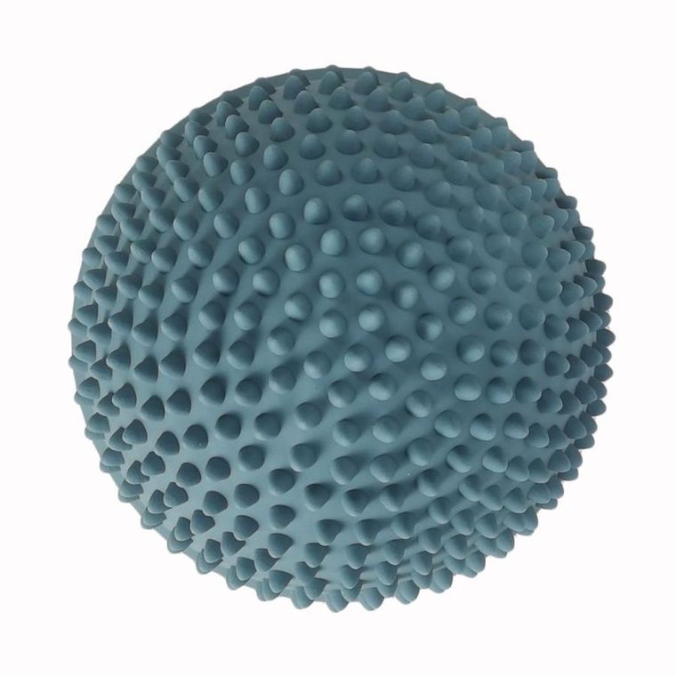 Find that Hippo, Zachód słońca, ścieżka sensoryczna