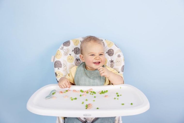 Graco, Minilite, krzesełko do karmienia, fruitella