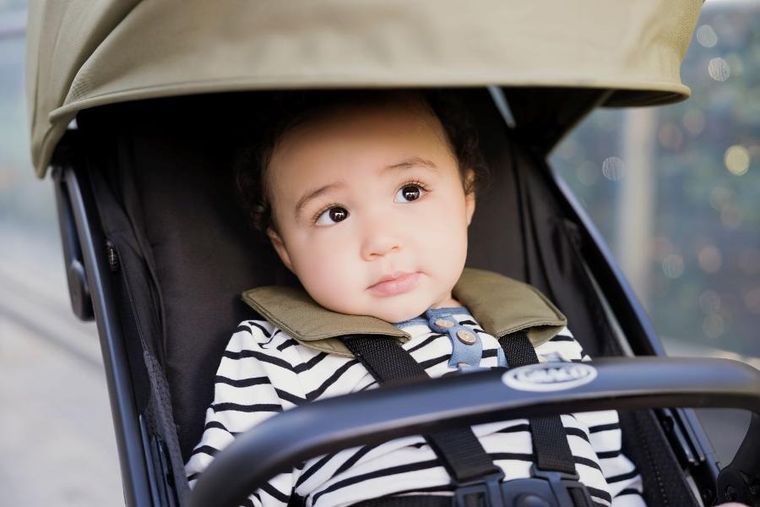 Graco, Myavo, wózek spacerowy, clover