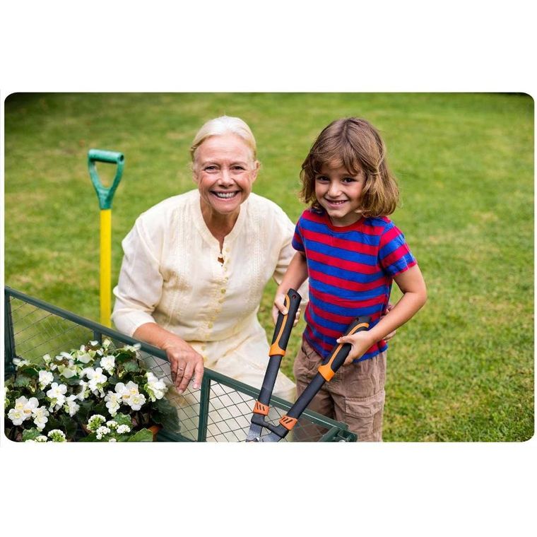 Humberg, wózek ogrodowy, wywrotka, 100l