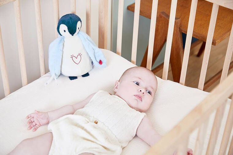 Kaloo, Pingwinek Complices, lampka nocna, przytulanka