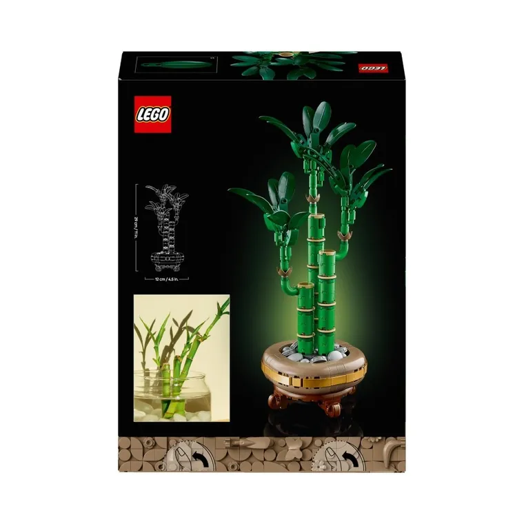 LEGO Botanicals, Dracena sandera, 10344