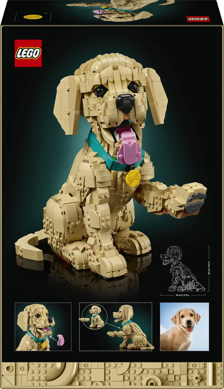 LEGO Icons, Szczeniak golden retriever, 11384