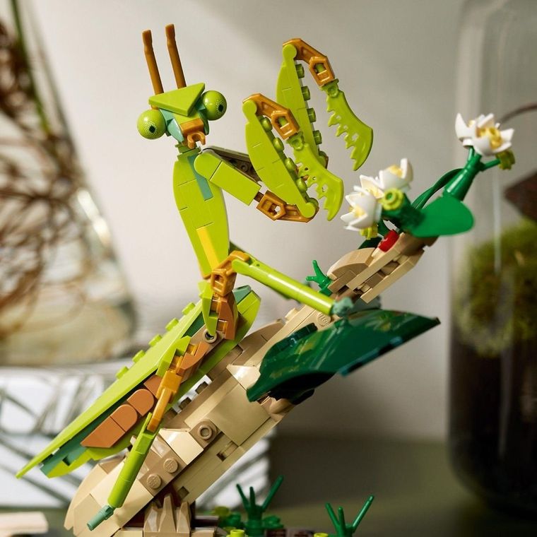LEGO Ideas, Kolekcja owadów, 21342