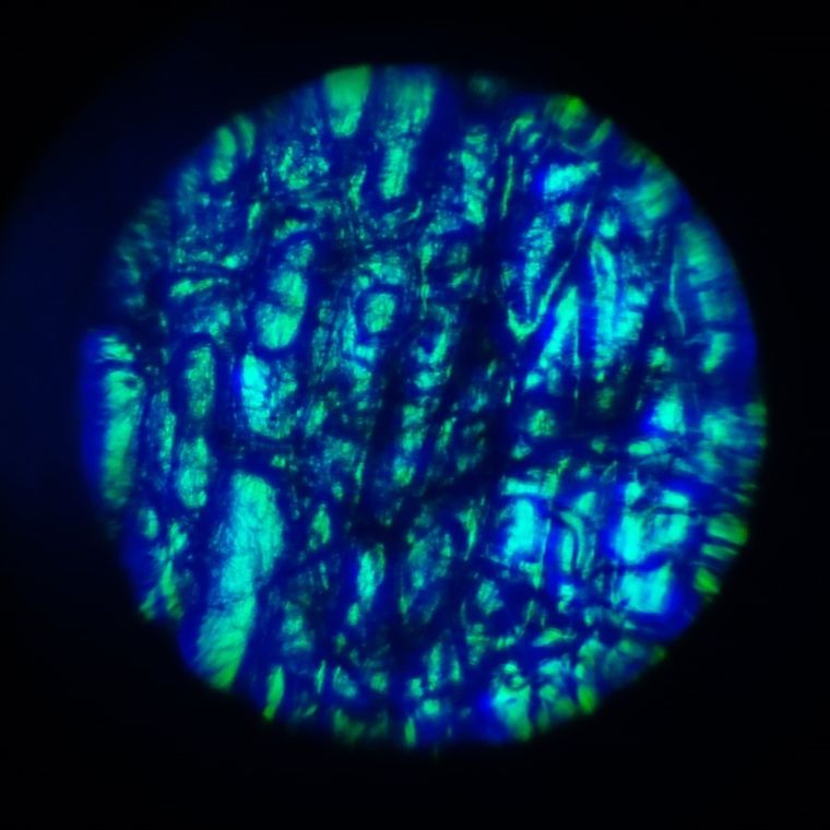Lisciani, I'm a Genius, Wielkie Laboratorium Badań Naukowych, 120 eksperymentów
