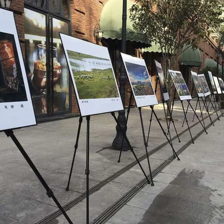 Maaleo, sztaluga malarska, regulowana