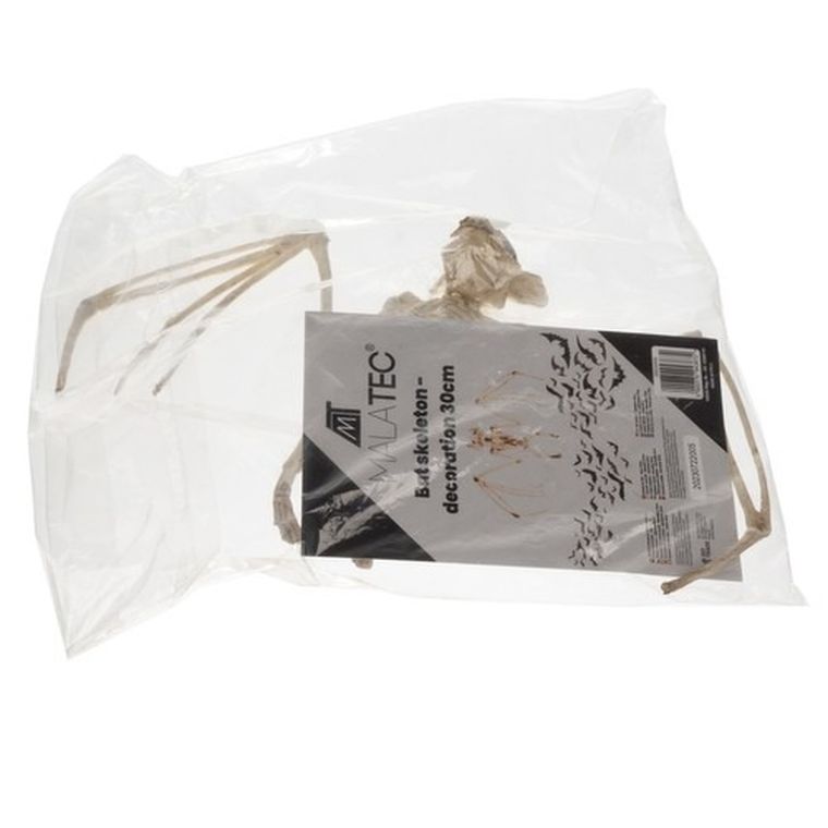 Malatec, szkielet nietoperza, dekoracja, 30 cm